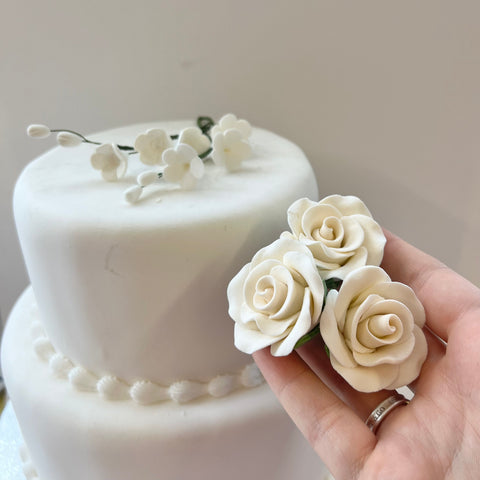 Ivory Cluster