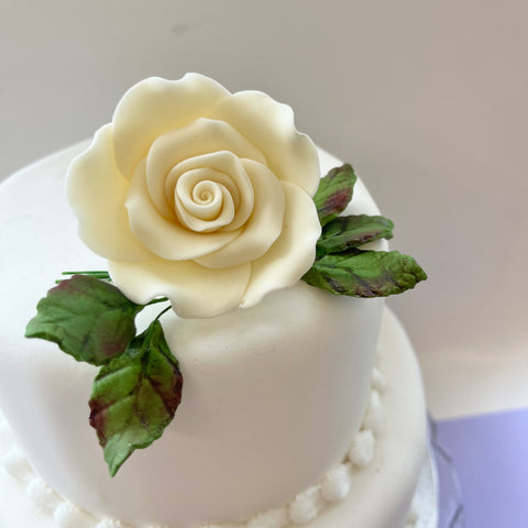 Ivory Rose