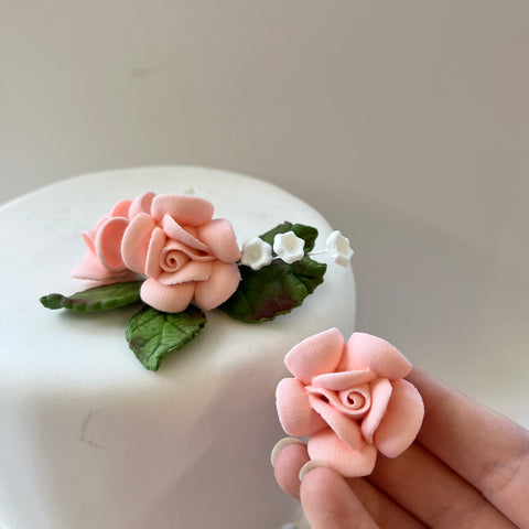 Pink Cluster