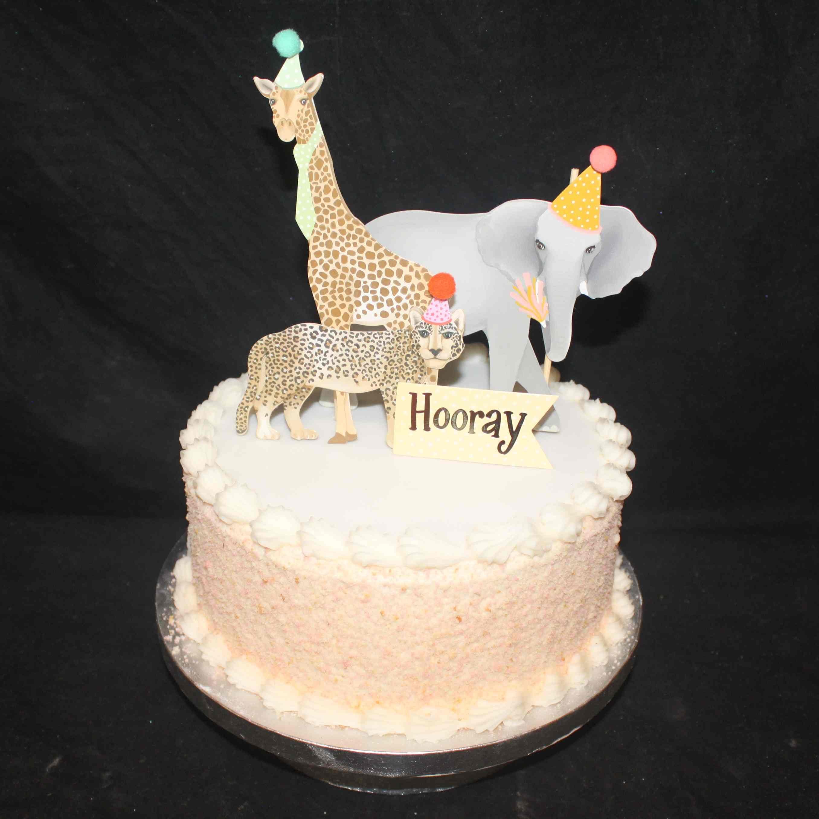 Animals Set