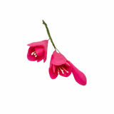 Cerise Freesia